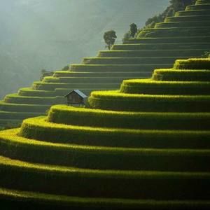 Meet your Posher, Xuan